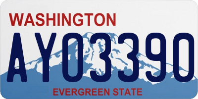 WA license plate AYO3390