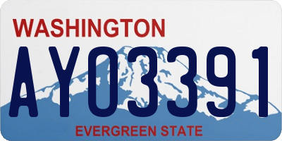 WA license plate AYO3391