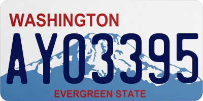 WA license plate AYO3395