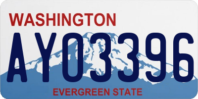WA license plate AYO3396