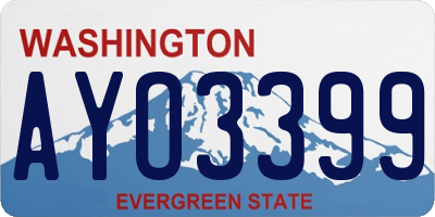 WA license plate AYO3399