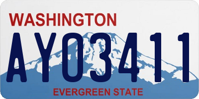 WA license plate AYO3411