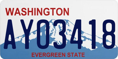 WA license plate AYO3418