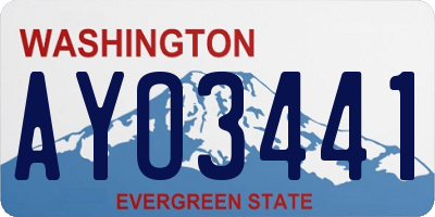 WA license plate AYO3441