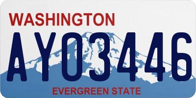 WA license plate AYO3446