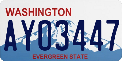 WA license plate AYO3447