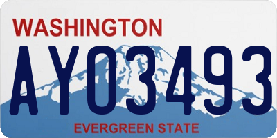 WA license plate AYO3493