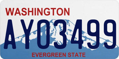 WA license plate AYO3499