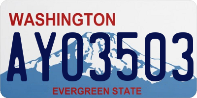WA license plate AYO3503