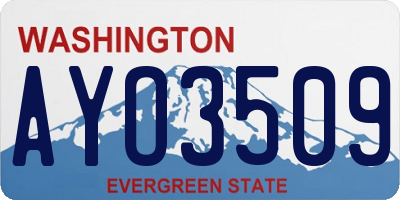 WA license plate AYO3509