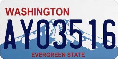 WA license plate AYO3516