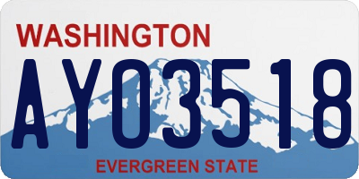 WA license plate AYO3518