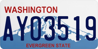 WA license plate AYO3519