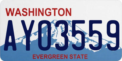 WA license plate AYO3559