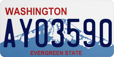 WA license plate AYO3590