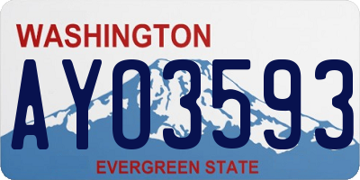 WA license plate AYO3593