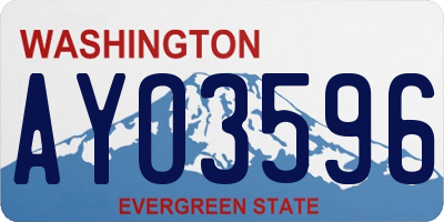 WA license plate AYO3596
