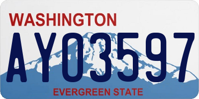 WA license plate AYO3597