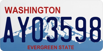 WA license plate AYO3598