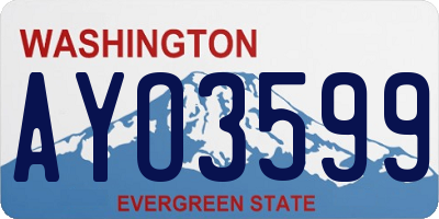 WA license plate AYO3599