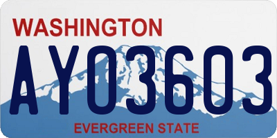 WA license plate AYO3603