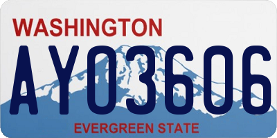 WA license plate AYO3606