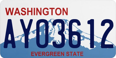 WA license plate AYO3612