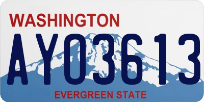 WA license plate AYO3613