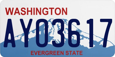 WA license plate AYO3617