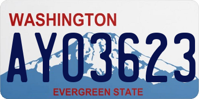 WA license plate AYO3623