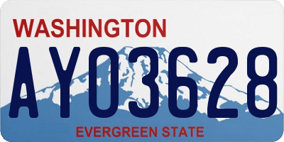 WA license plate AYO3628