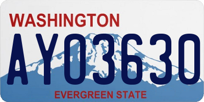 WA license plate AYO3630