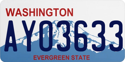 WA license plate AYO3633