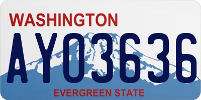 WA license plate AYO3636