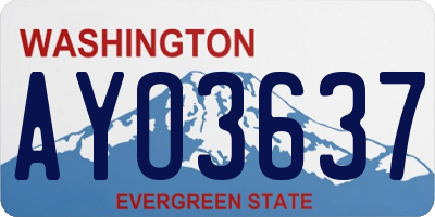 WA license plate AYO3637