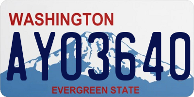 WA license plate AYO3640