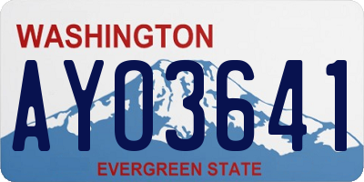 WA license plate AYO3641