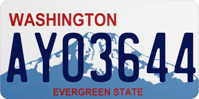 WA license plate AYO3644