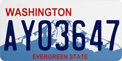 WA license plate AYO3647