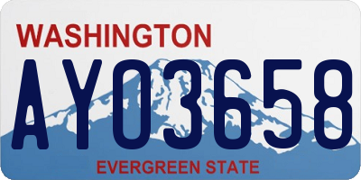 WA license plate AYO3658