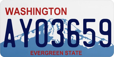 WA license plate AYO3659