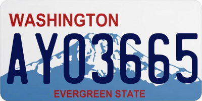 WA license plate AYO3665