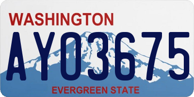 WA license plate AYO3675