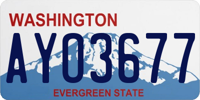 WA license plate AYO3677