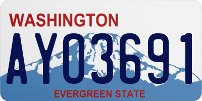WA license plate AYO3691