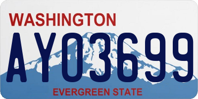 WA license plate AYO3699