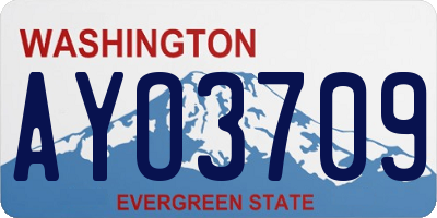 WA license plate AYO3709