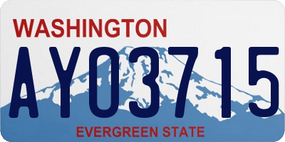 WA license plate AYO3715