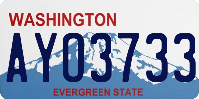 WA license plate AYO3733