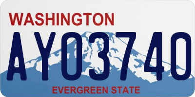 WA license plate AYO3740